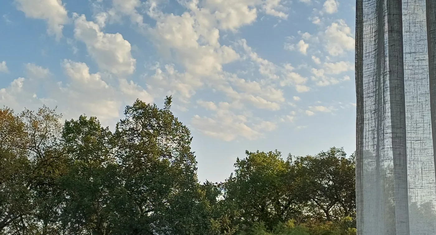 Ciel et cimes des arbres vus depuis la fenêtre du cabinet