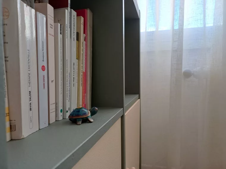 Une partie de la bibliothèque